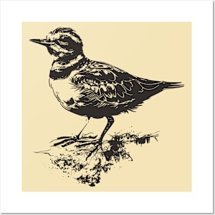 Hand drawn killdeer bird Posters and Art